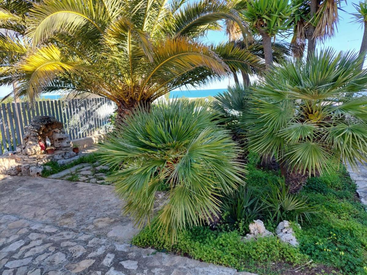 Perla Rosa Apartment *